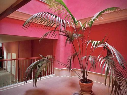Apartamento Sauceda 7