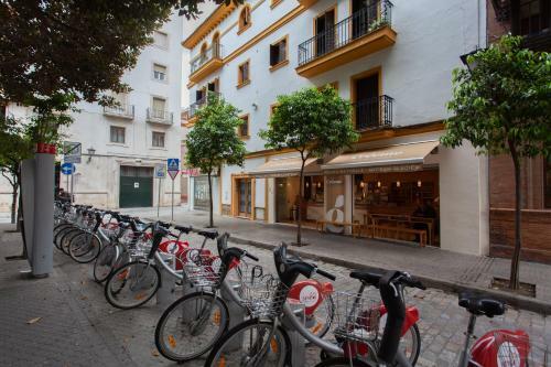 Pikis Apartment Center 1