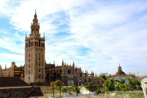 Apartamento Terraza Catedral Olehousing