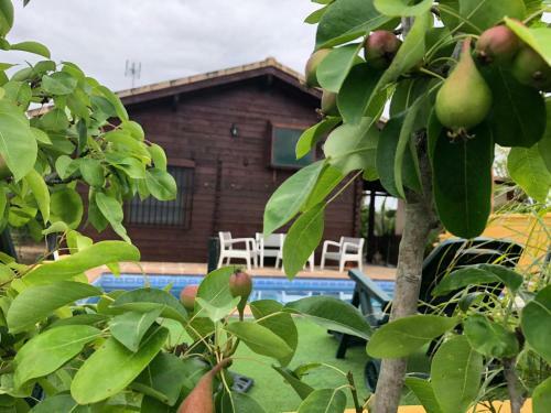 Casa De Madera El Oasis El Palomar