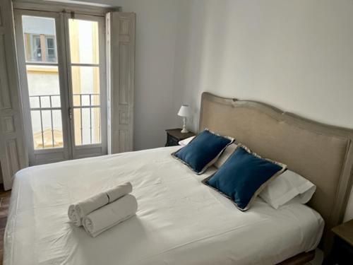 Apartamento Ti2 D�plex Con Terraza Privada, 120 Metros De La Catedral