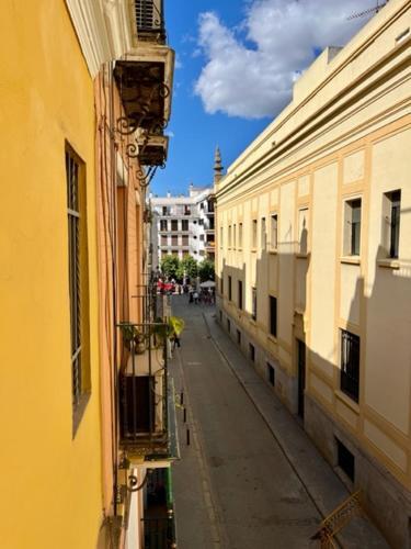 Apartamento Ti2 D�plex Con Terraza Privada, 120 Metros De La Catedral