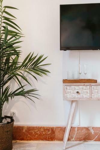 Apartamento Bright And Cozy-1bd 1bth & 2bd 1bth- La Giralda