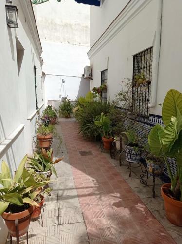 Apartamento Carmona&house