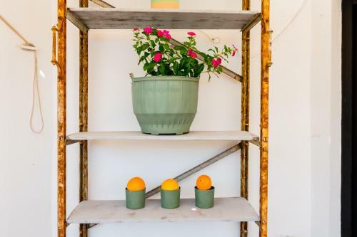 Apartamento Anfitri�n Sevilla