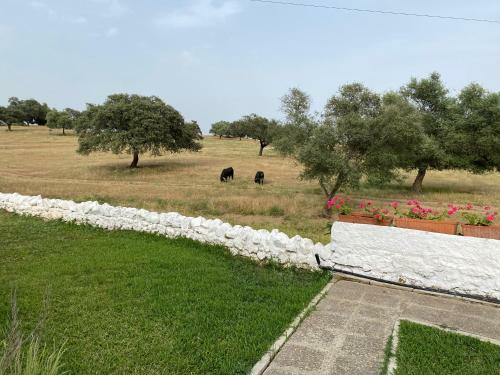 Agradable Villa Con Piscina