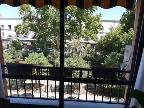 Acogedor Apartamento En Pleno Coraz�n De Triana