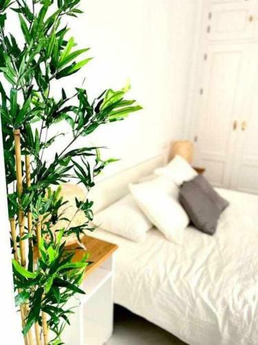 Apartamento San Julian Centro 6 Pax Click&host
