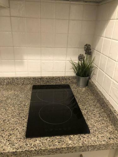 Encantador Apartamento En El Centro