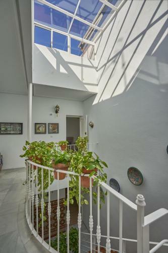 Hostal Casa Pureza