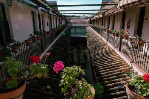 Apartamento Con Encanto En Patio Sevillano (202)