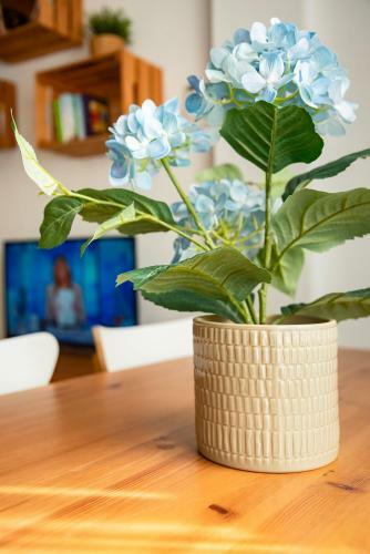 Apartamento Home@porvenir Vft/se/03555