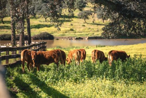 Hotel Alojamiento Rural Finca Barral