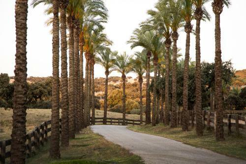 Hotel Alojamiento Rural Finca Barral