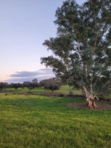 Hotel Alojamiento Rural Finca Barral