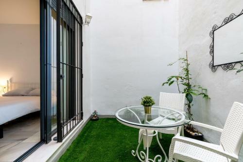Svl - Apartamento Con Terraza En El Centro Hist�rico