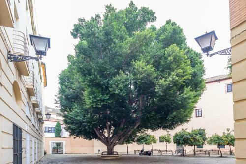 Apartamento Alohamundi Escuelas P�as