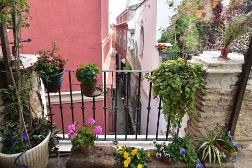 Suite Do�a In�s Barrio Santacruz