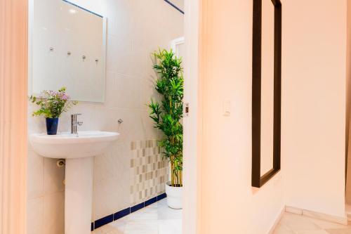 Apartamento Anfitri�n Sevilla 5