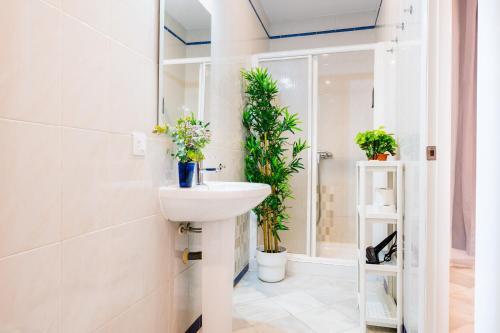 Apartamento Anfitri�n Sevilla 5