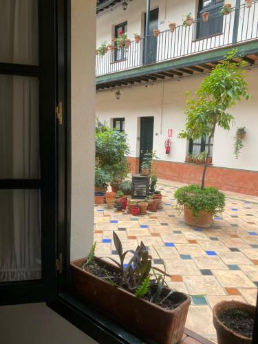 Apartament Alameda Center