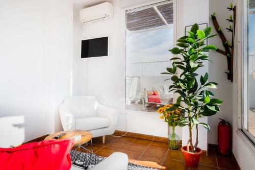 Apartamento Minty Stay - San Luis Terrace