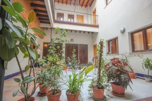 Apartamento Livia Junto A La Catedral