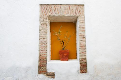 Hostal Casa Visconde De Bouzoes