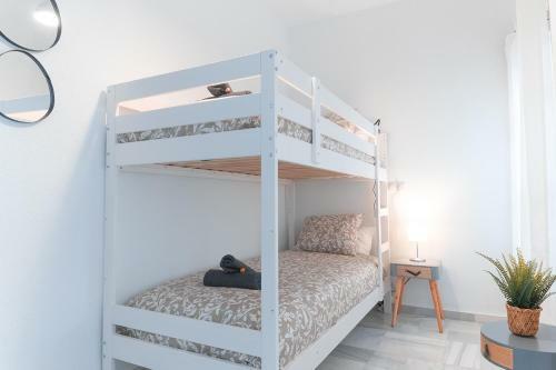 Downtown Apartment (3 Bedrooms, 2 Bathrooms, Wifi)