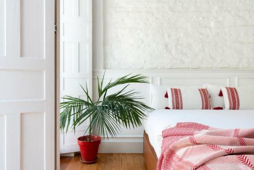 Magno Apartments San Luis Luxury House