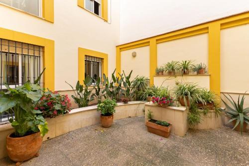 Apartamento New! Ohliving Triana