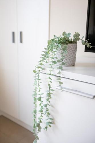 Apartamento Do�a Concha Alameda
