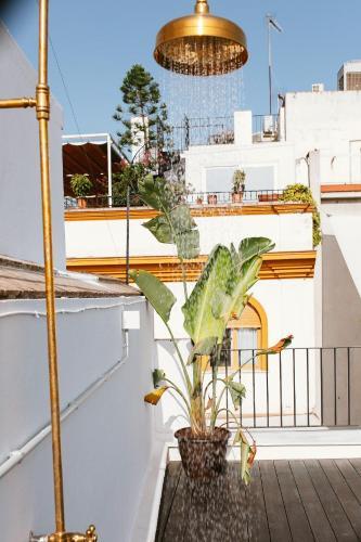 Lujoso Apartamento Con Piscina Compartida 1