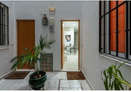 Sweet Catalina-centric Apartment 4 Guests