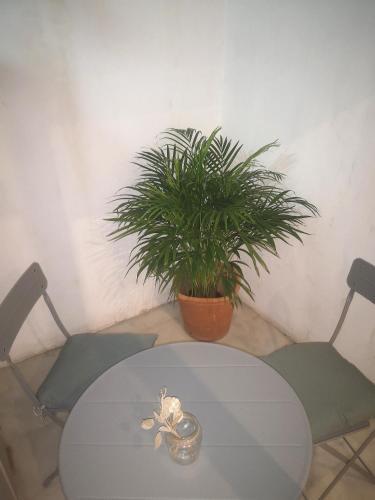 Sweet Catalina-centric Apartment 4 Guests