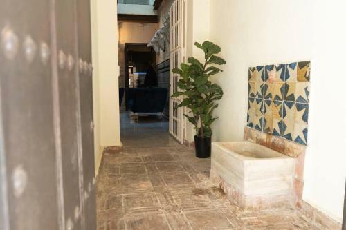 Nueva Casa Boutique En El Centro De Sevilla