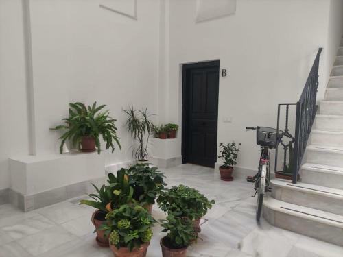Apartamento Calm & Design Suite