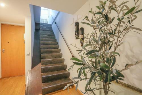 Apartamento Calle Mata 16