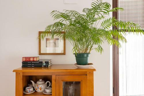 Apartamento Narciso Campillo Oasis By Valcambre