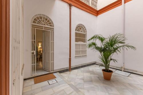 Apartamento New! Ohliving Salvador Square