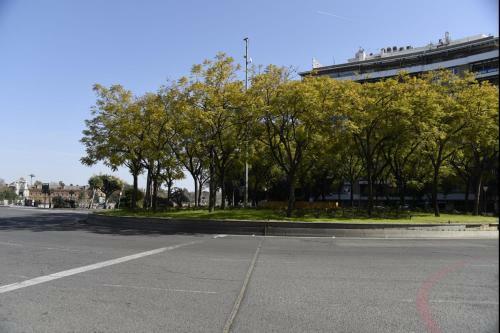 Apartamento En Sevilla Vacacional