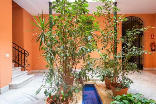 Apartamento Alohamundi Campana II