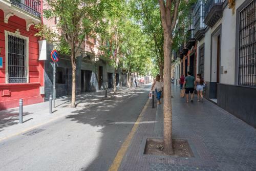 Apartamento Alohamundi Campana II
