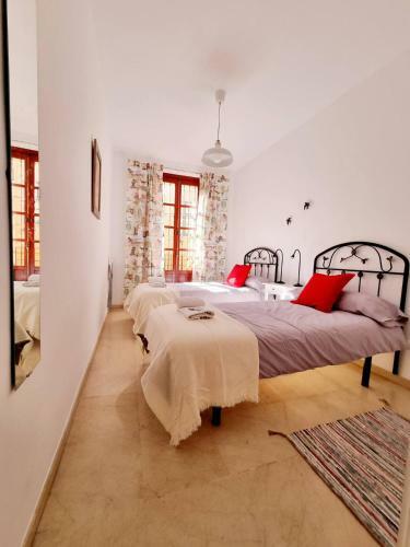 Apartamento Duplex In Historic Center