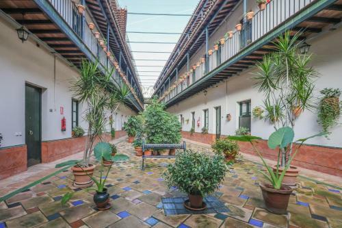 Apartamento Patio De La Cartuja - 2 Pax