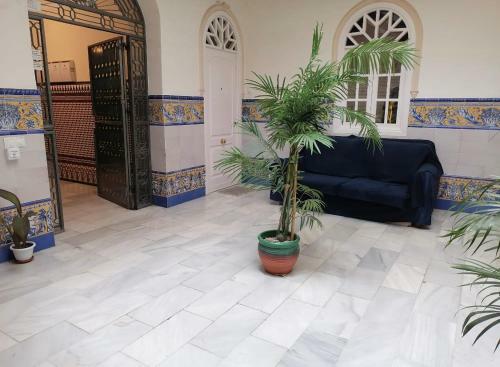 Hostal Sevilla's Bed And Terrace