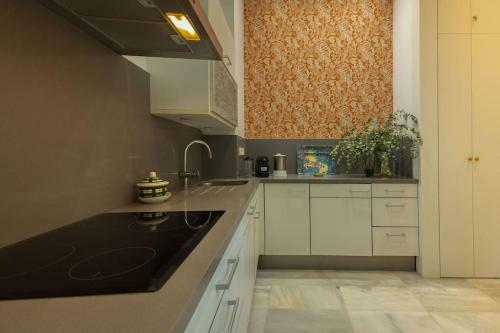 Apartamento Carlos Ca�al Deluxe By Valcambre