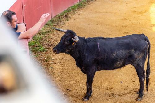 Hotel Rural Ganader�a Virgen Mar�a
