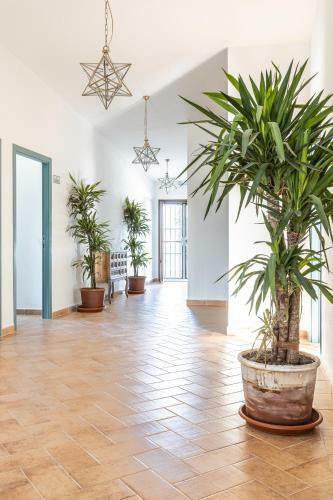 Hotel Rural Ganader�a Virgen Mar�a