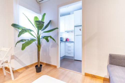 Apartamento Alohamundi Carlos Ca�al